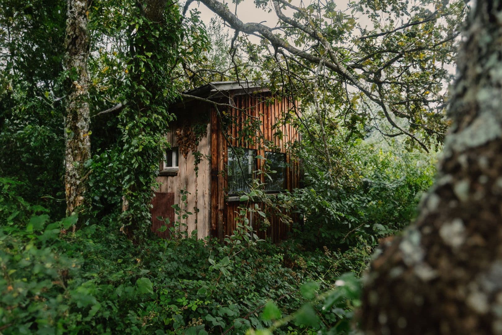 Zur Ruhe kommen - deine Hütte im Wald mieten