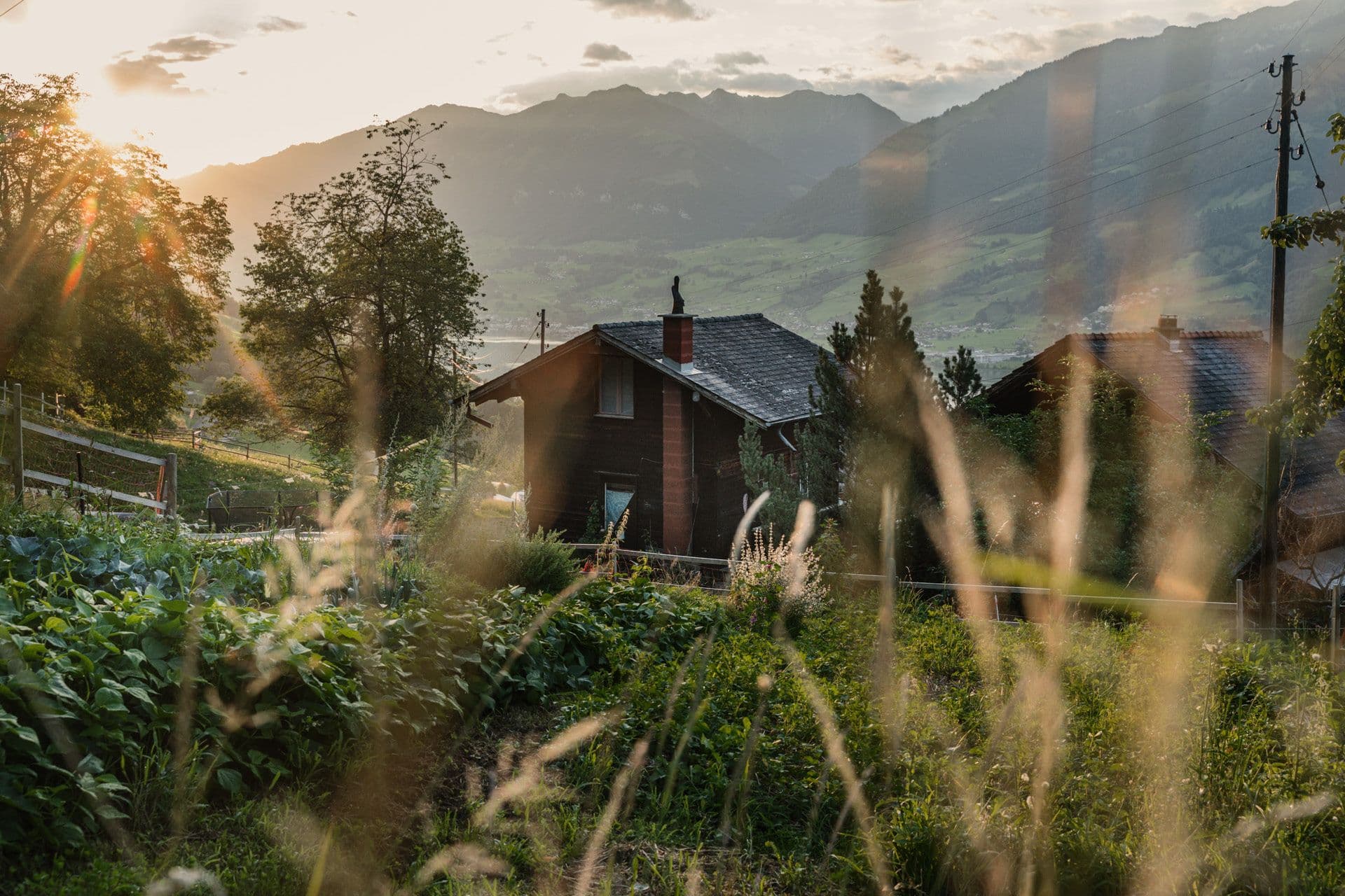Miete deine Traumhütte für unvergessliche Naturerlebnisse
