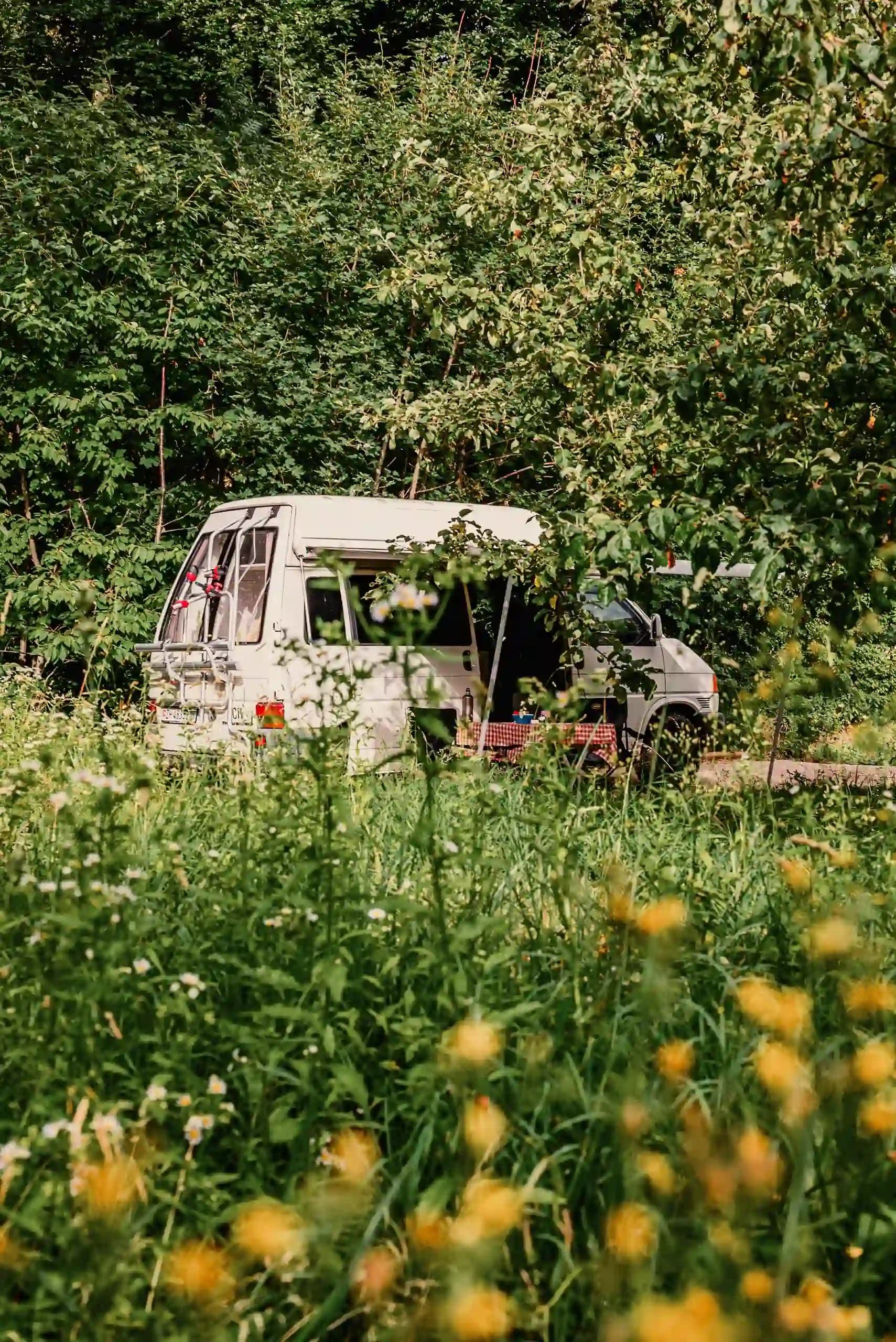 Camps in deiner Nähe
