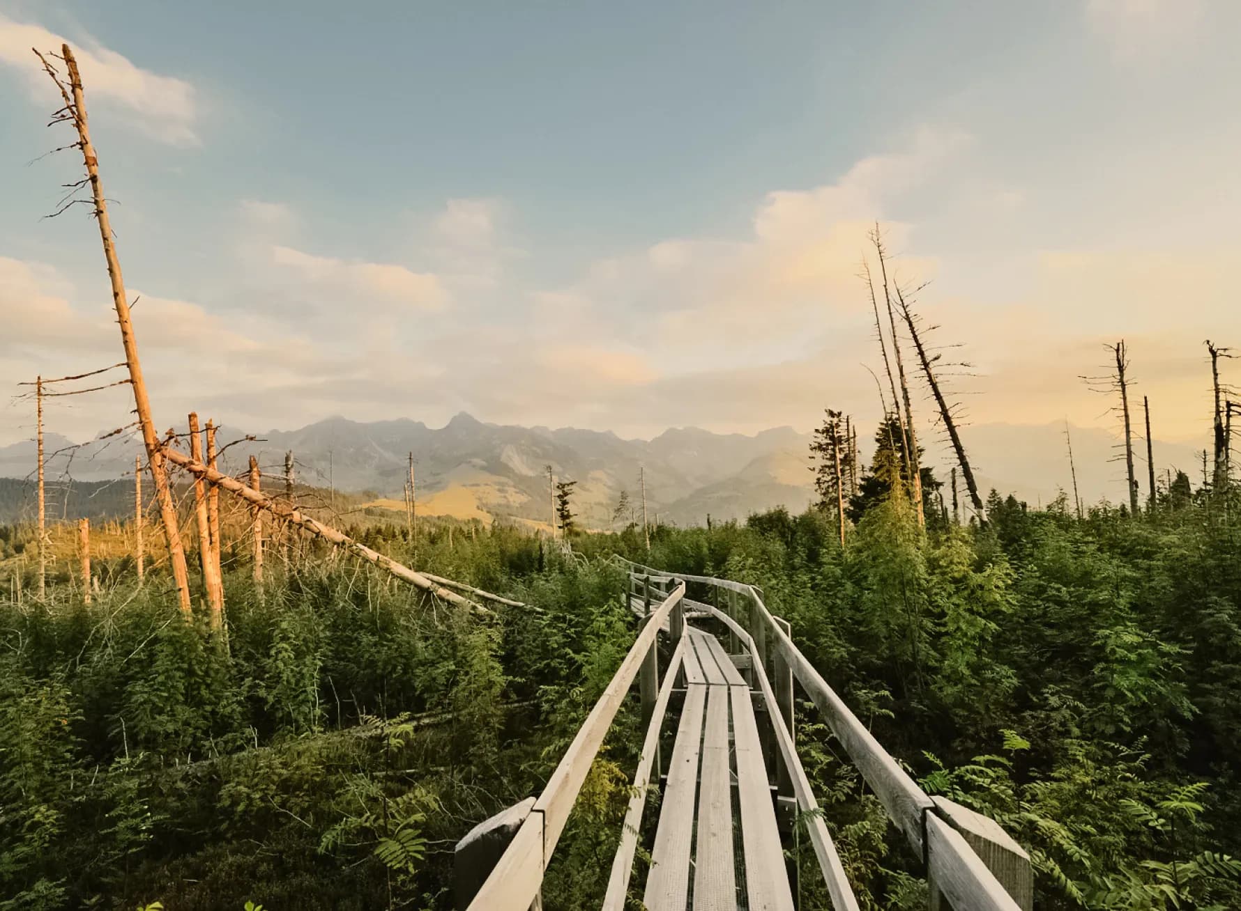 Plane deine Reise in den Naturpark Gantrisch