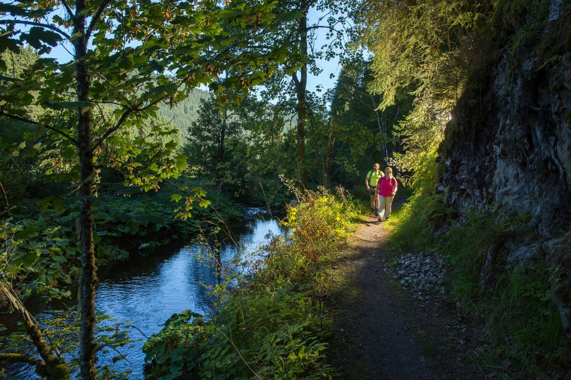 In vier Tagen den Albsteig Schwarzwald erwandern