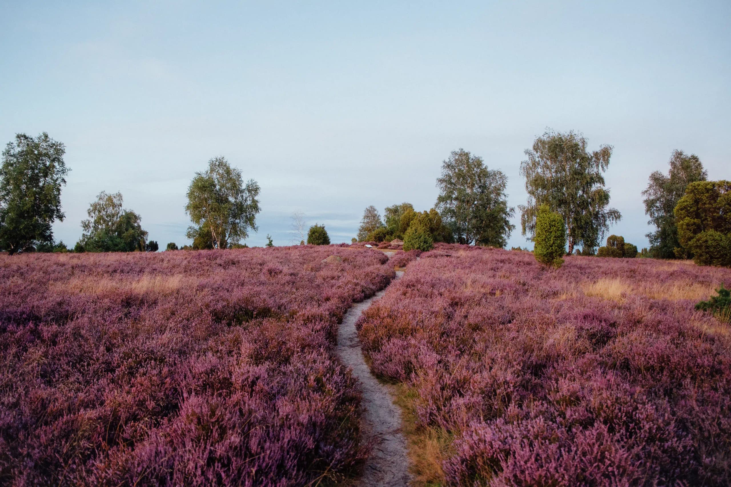 Naturcamping Lüneburger Heide