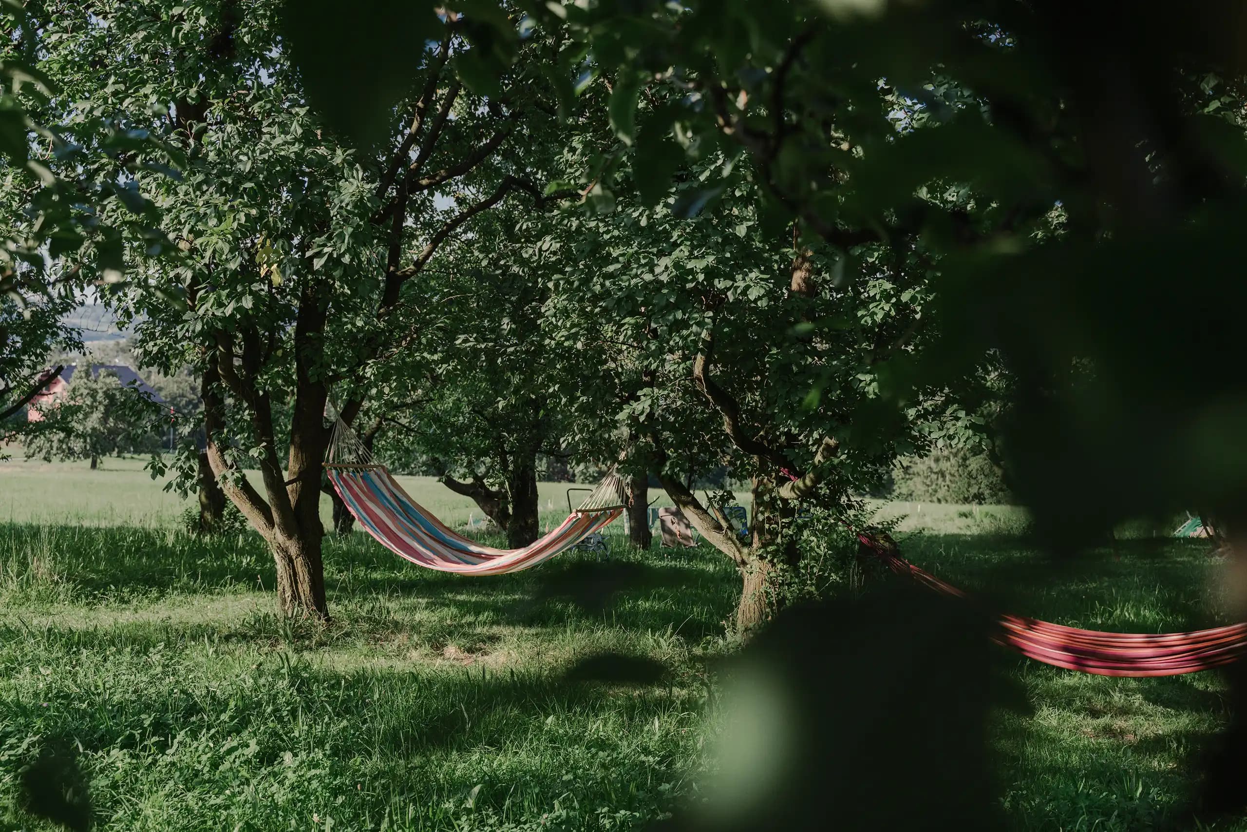 Camping in Zürich