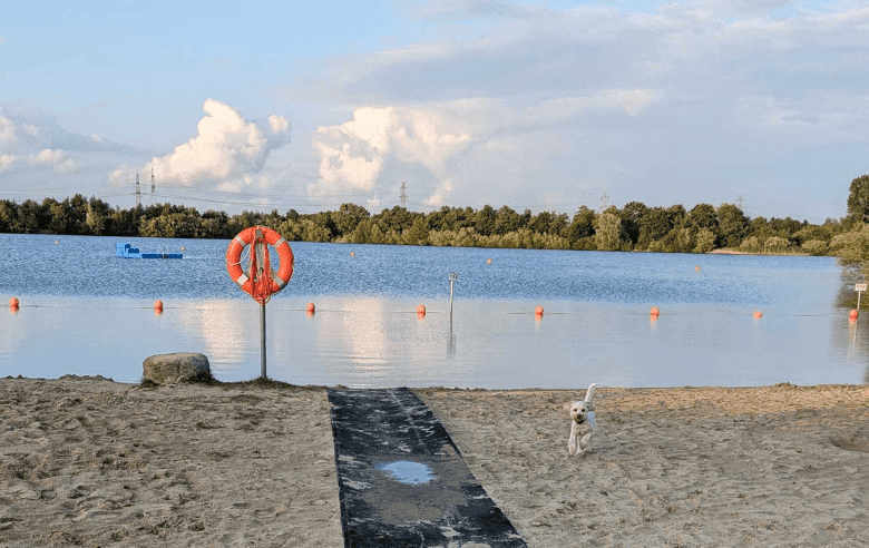 Schwimmen