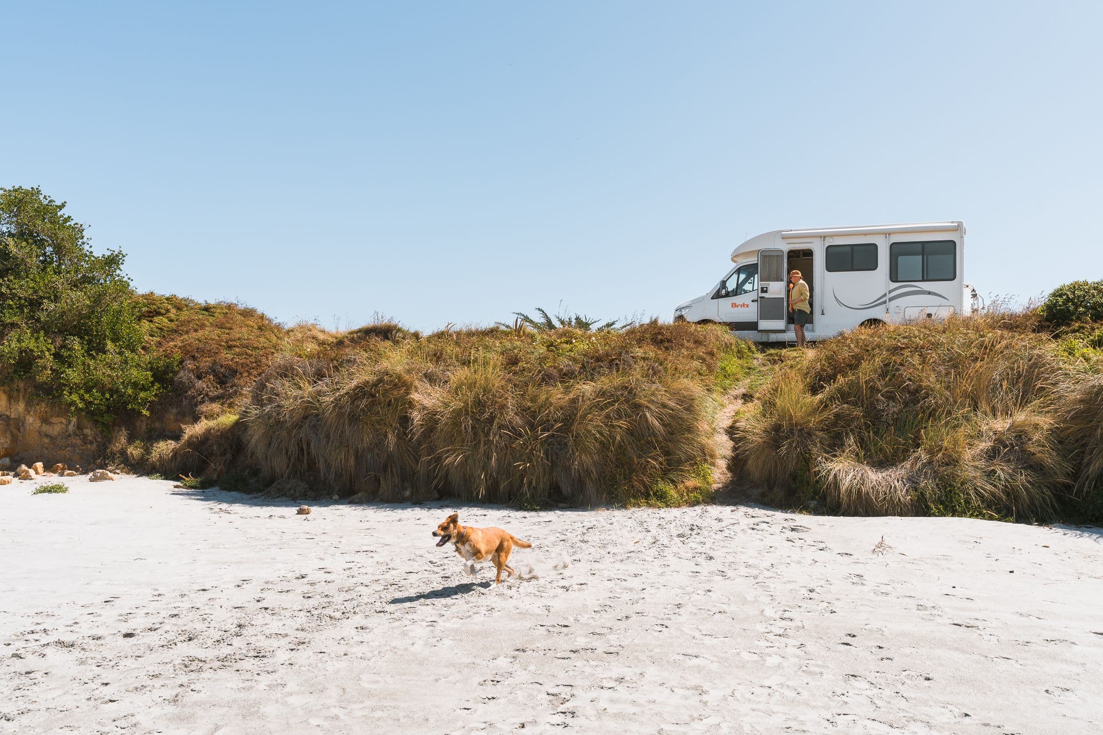 Fazit: Wohnmobil mieten mit Hund = ganz entspannt