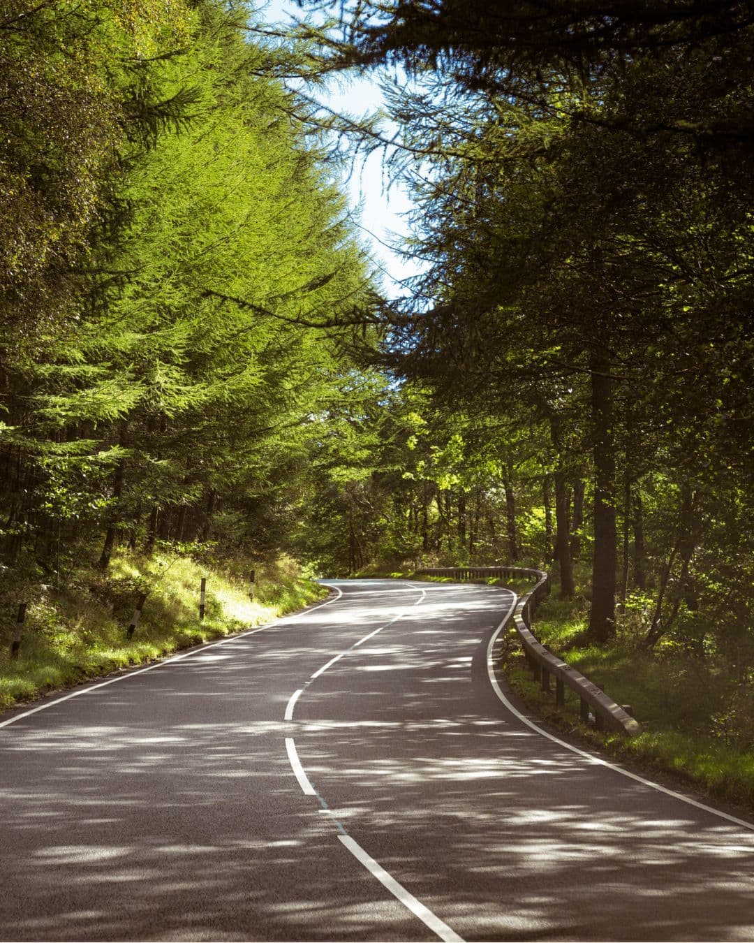 Camping-Routenplaner im Vergleich