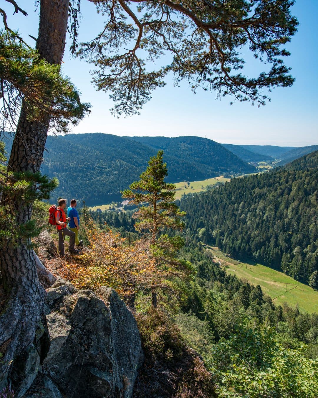 Trekking in Deutschland: Albsteig Schwarzwald mit Übernachtungen auf Nomady Camps
