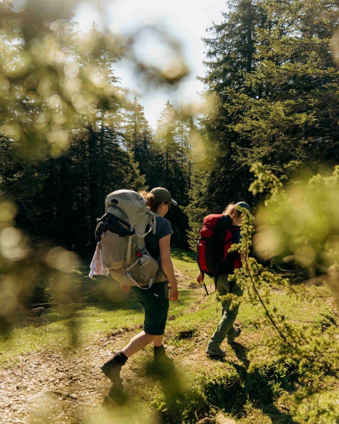 Wandern direkt ab der Unterkunft