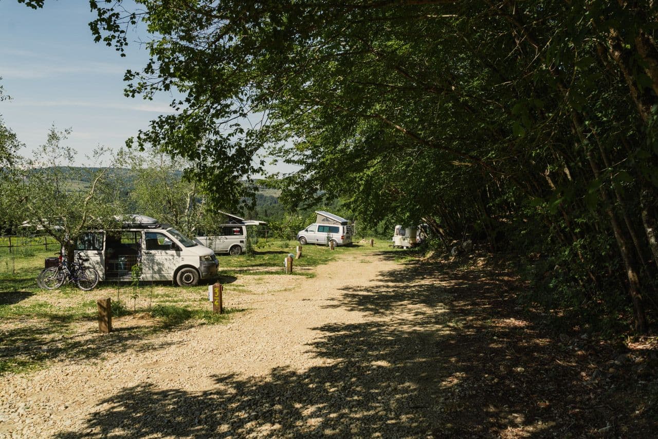 Campen in Gesellschaft