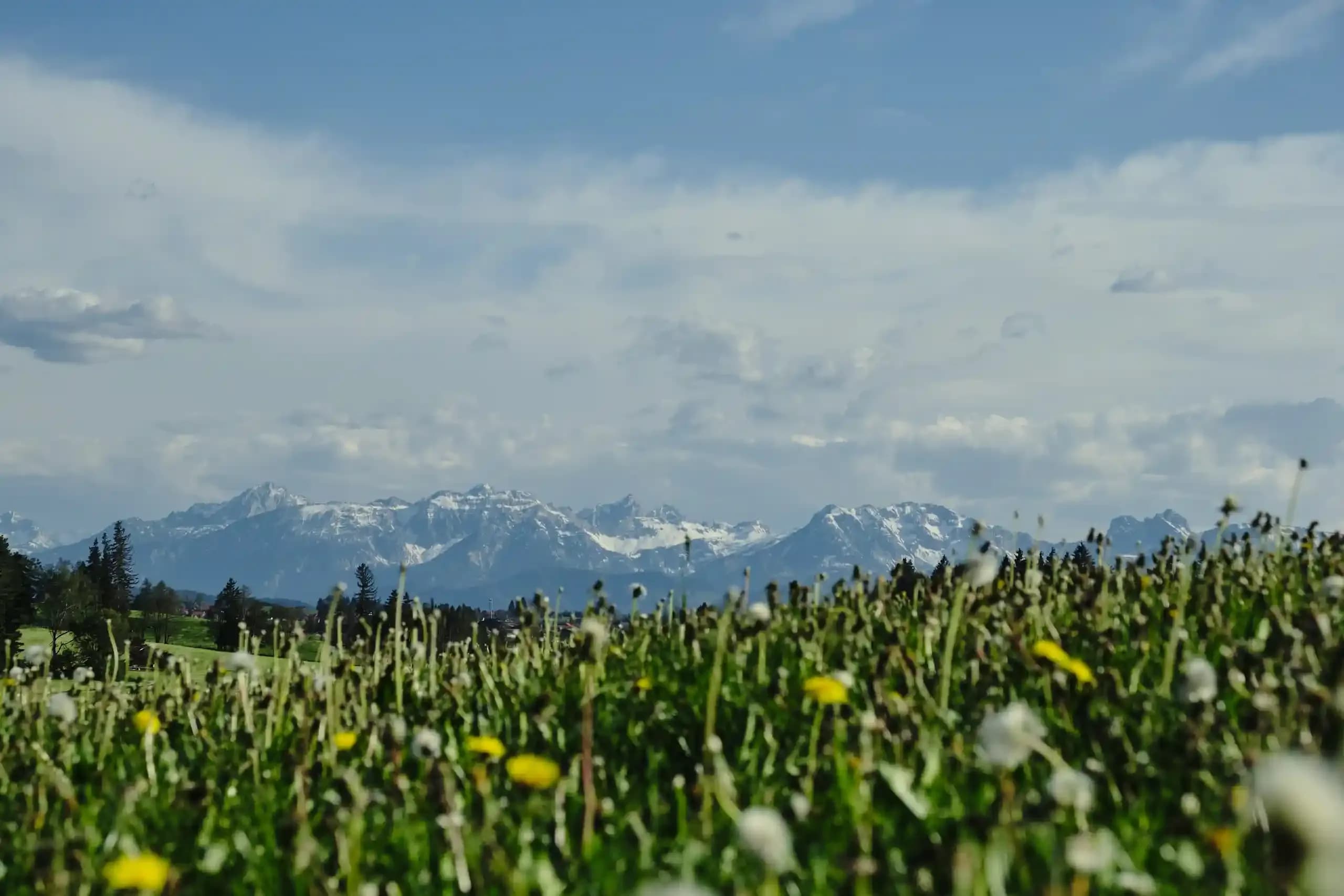 Mit traumhafter Kulisse im Allgäu campen
