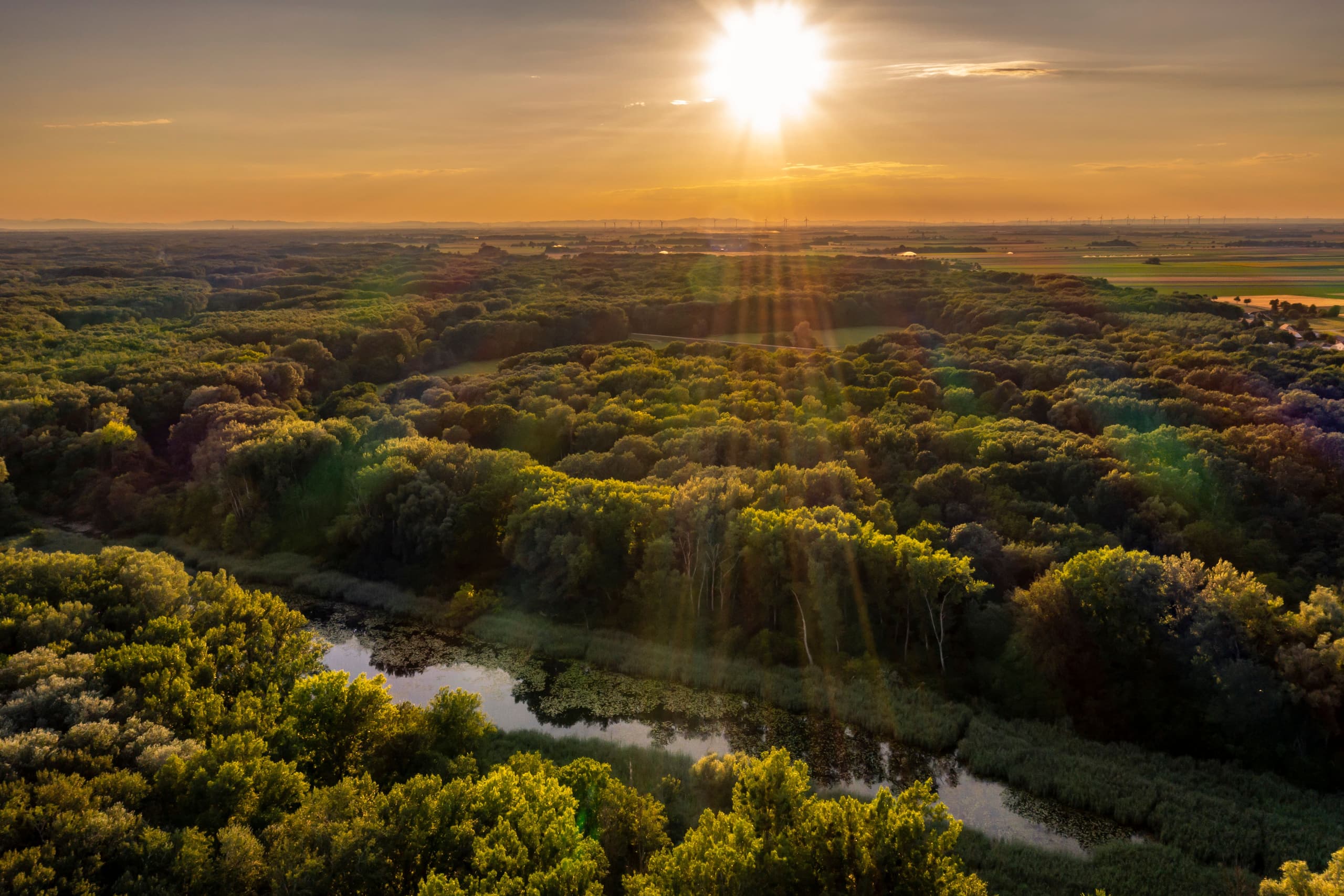 Besonderheiten der Region - Nationalpark-Donau-Auen-c-Donau Niederösterreich_Robert-Herbst.jpg